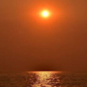 Meet your Posher, Liz